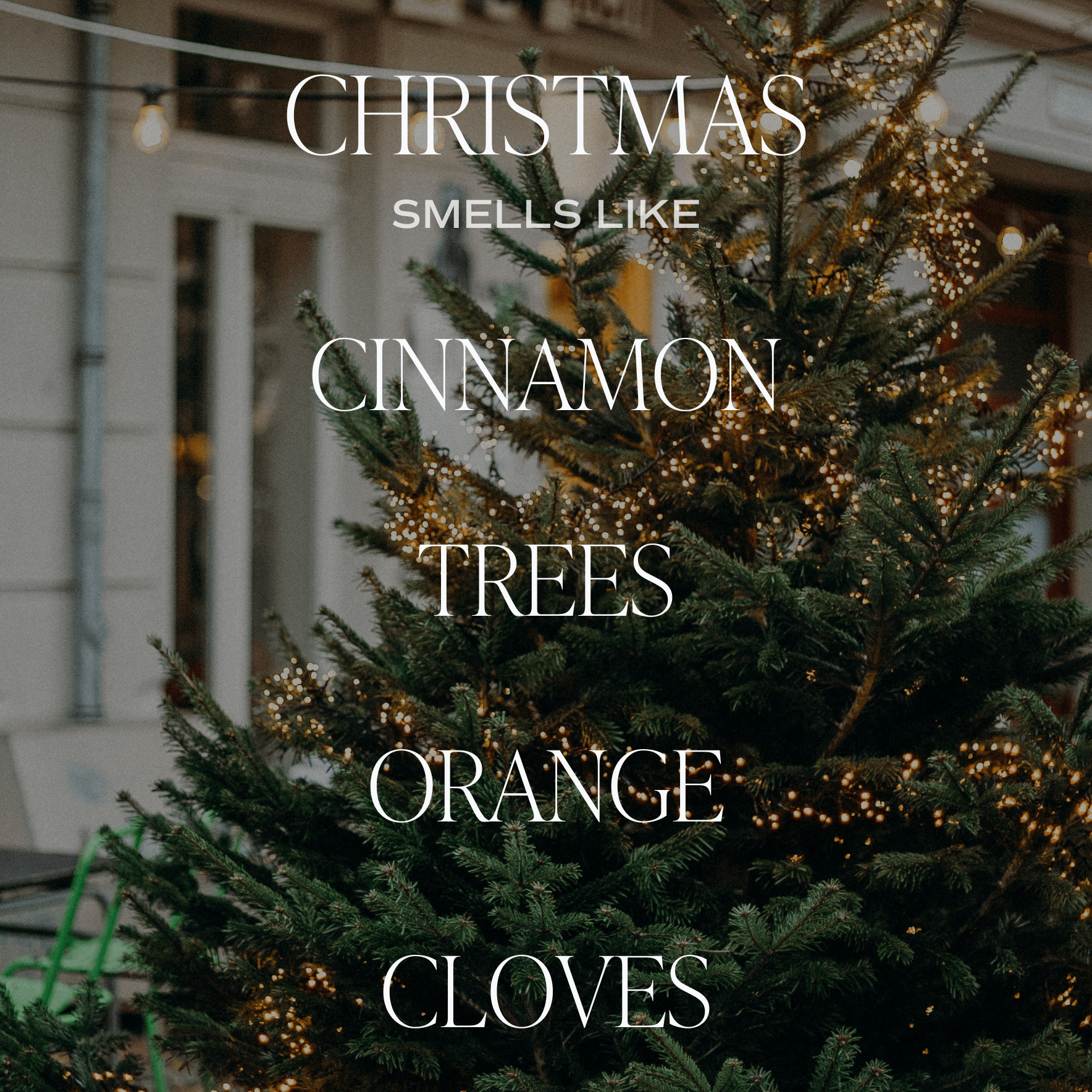 Difusor de varillas transparente navideño