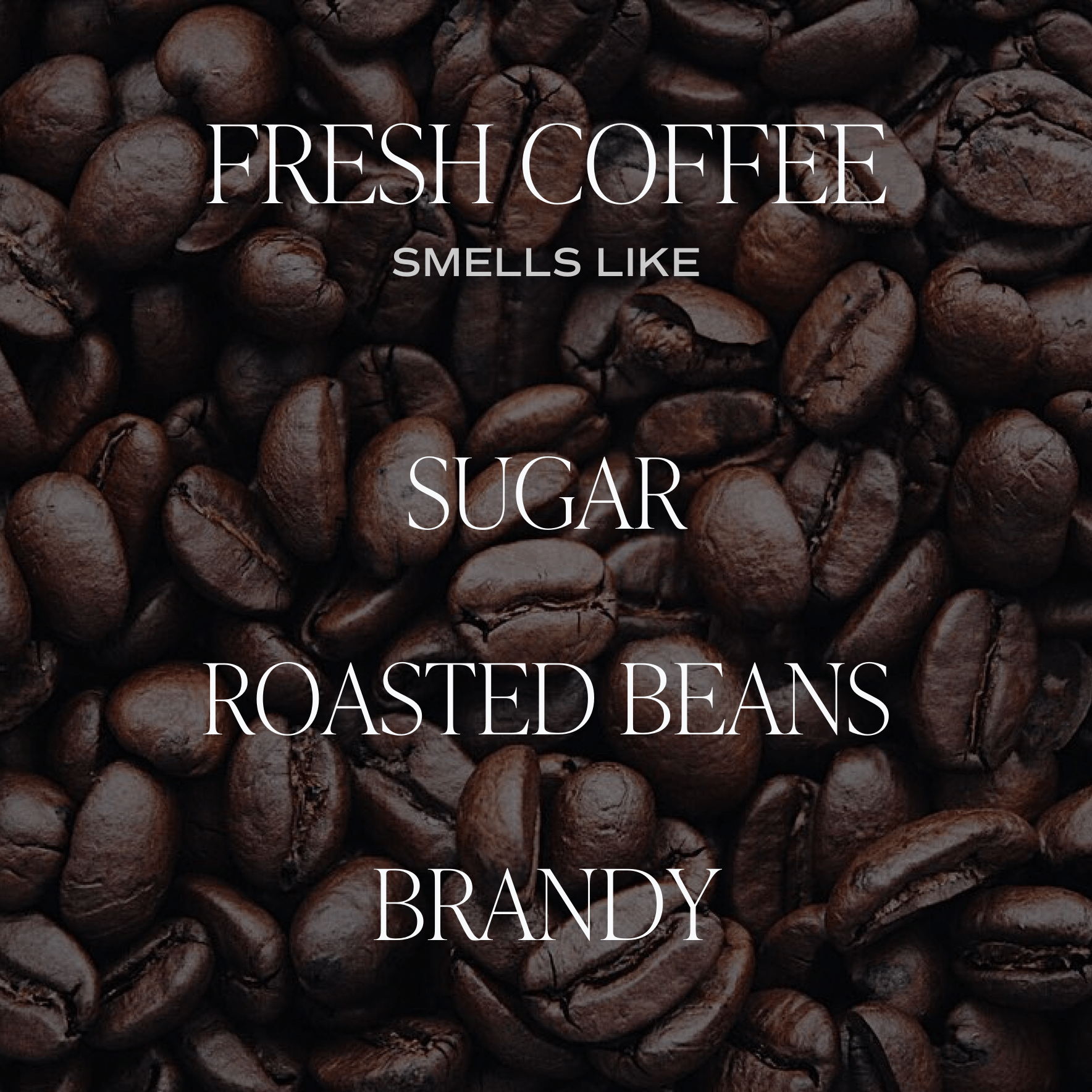 Vela de soja con aroma a café fresco - Tarro blanco - 325 g