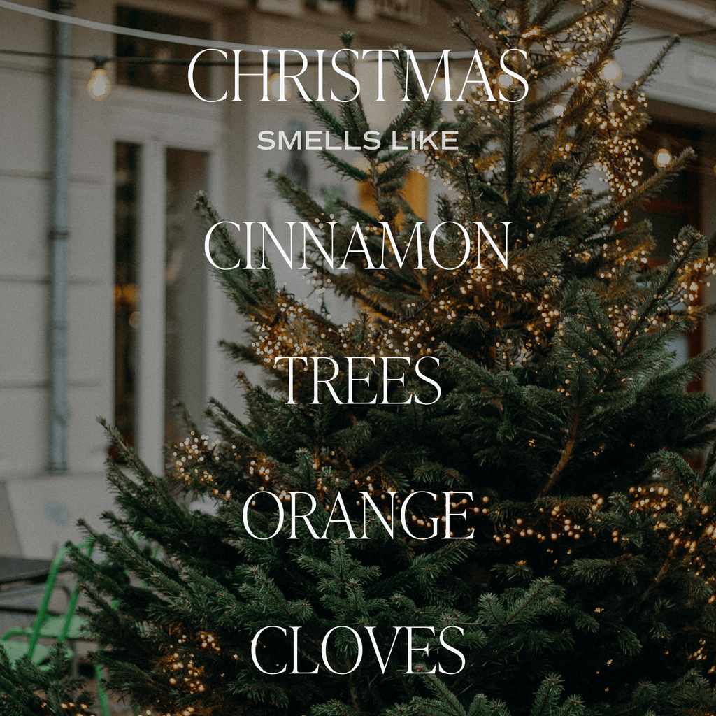 Christmas Candle Gift Box Set (Christmas, Warm and Cozy, Fraser Fir)