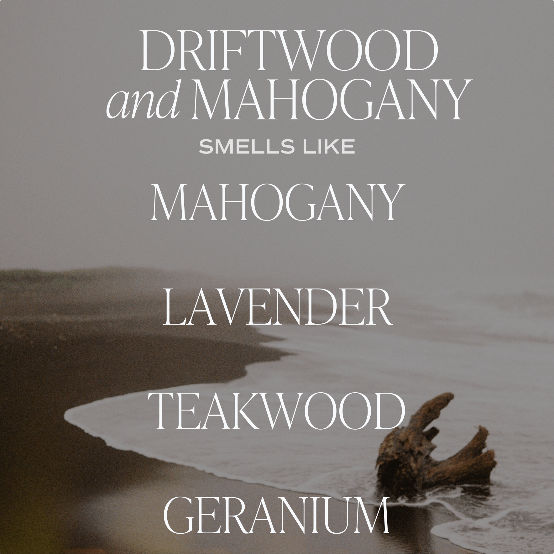 Driftwood and Mahogany Soy Candle - Brown Matte Jar - 15 oz