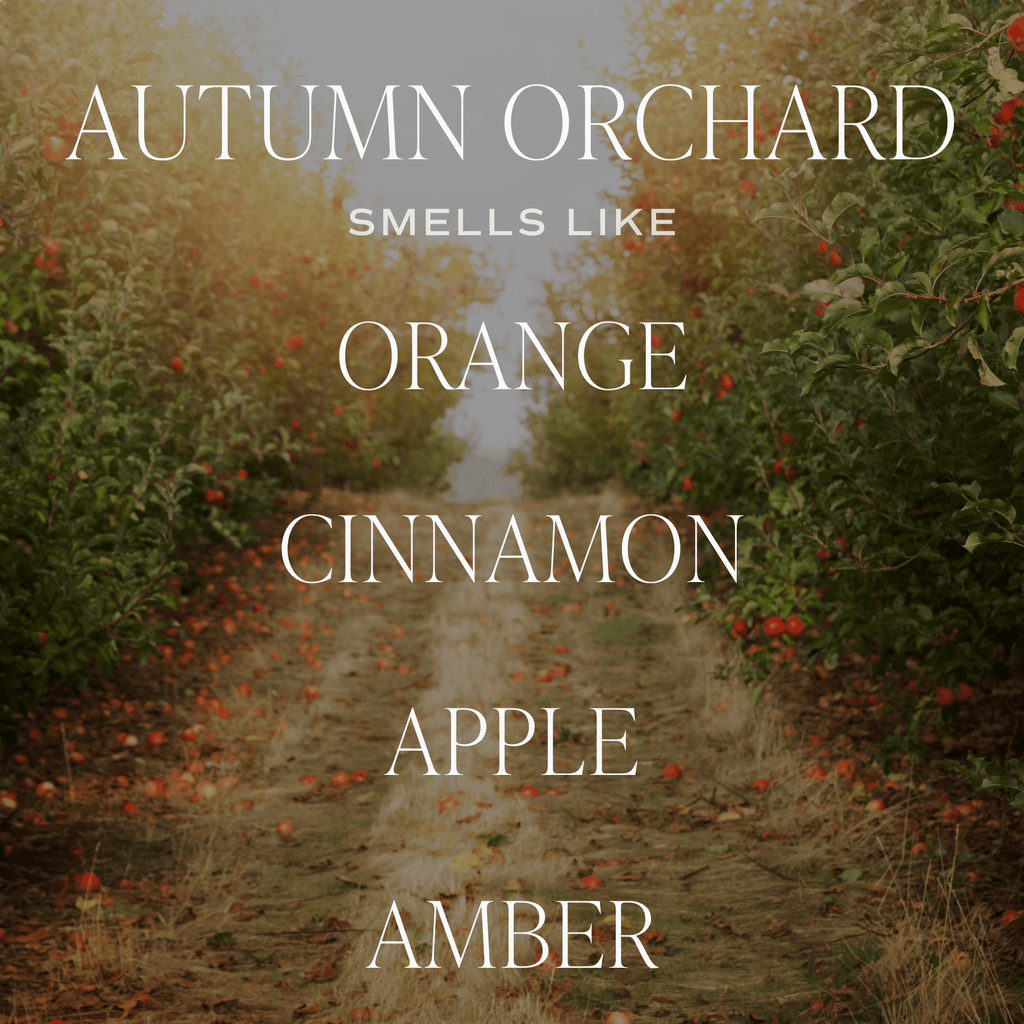 Vela de soja Autumn Orchard - Estampada, 250 g - Tarro transparente (Sidra caliente)