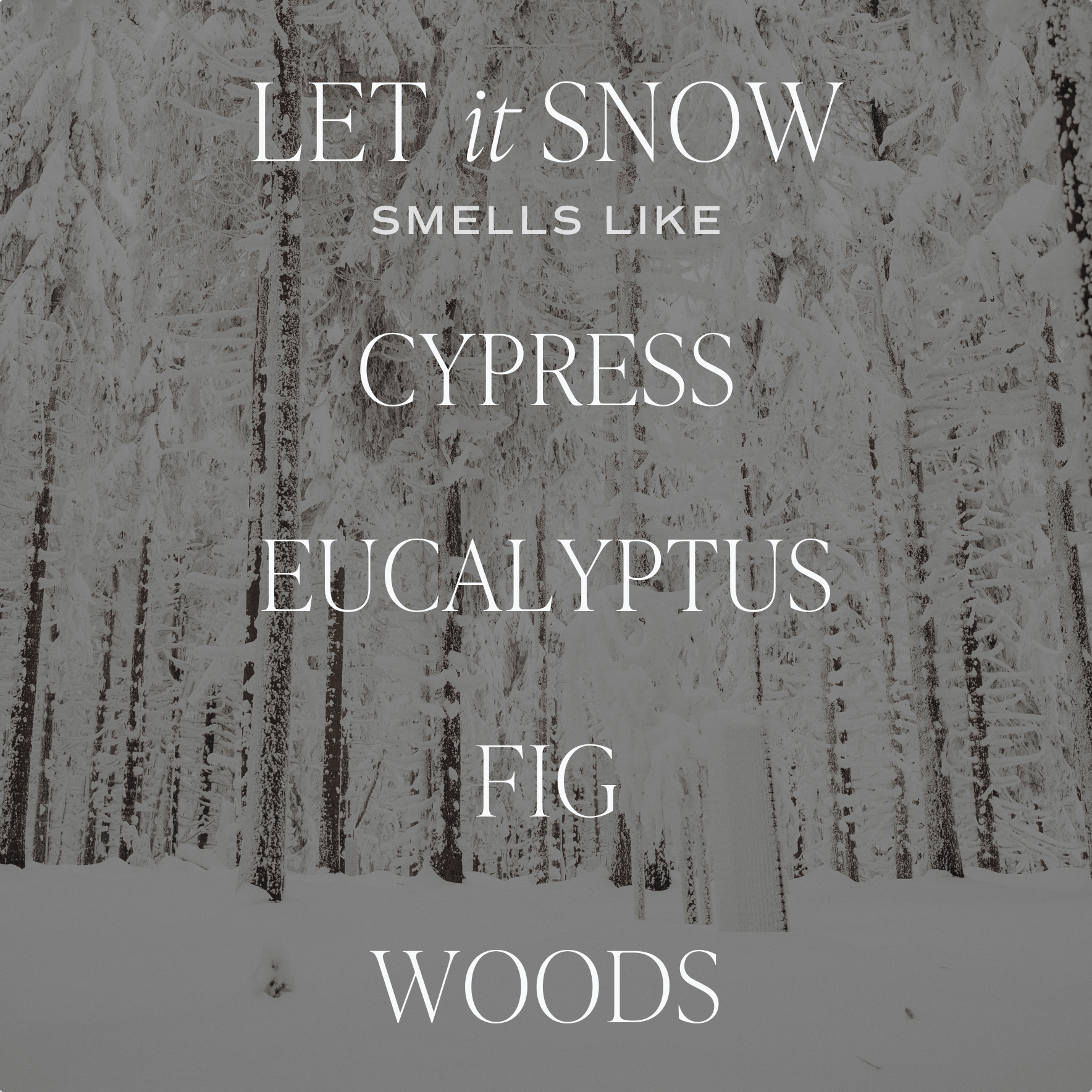 Let It Snow Soy Candle -  Clear 9 oz Jar