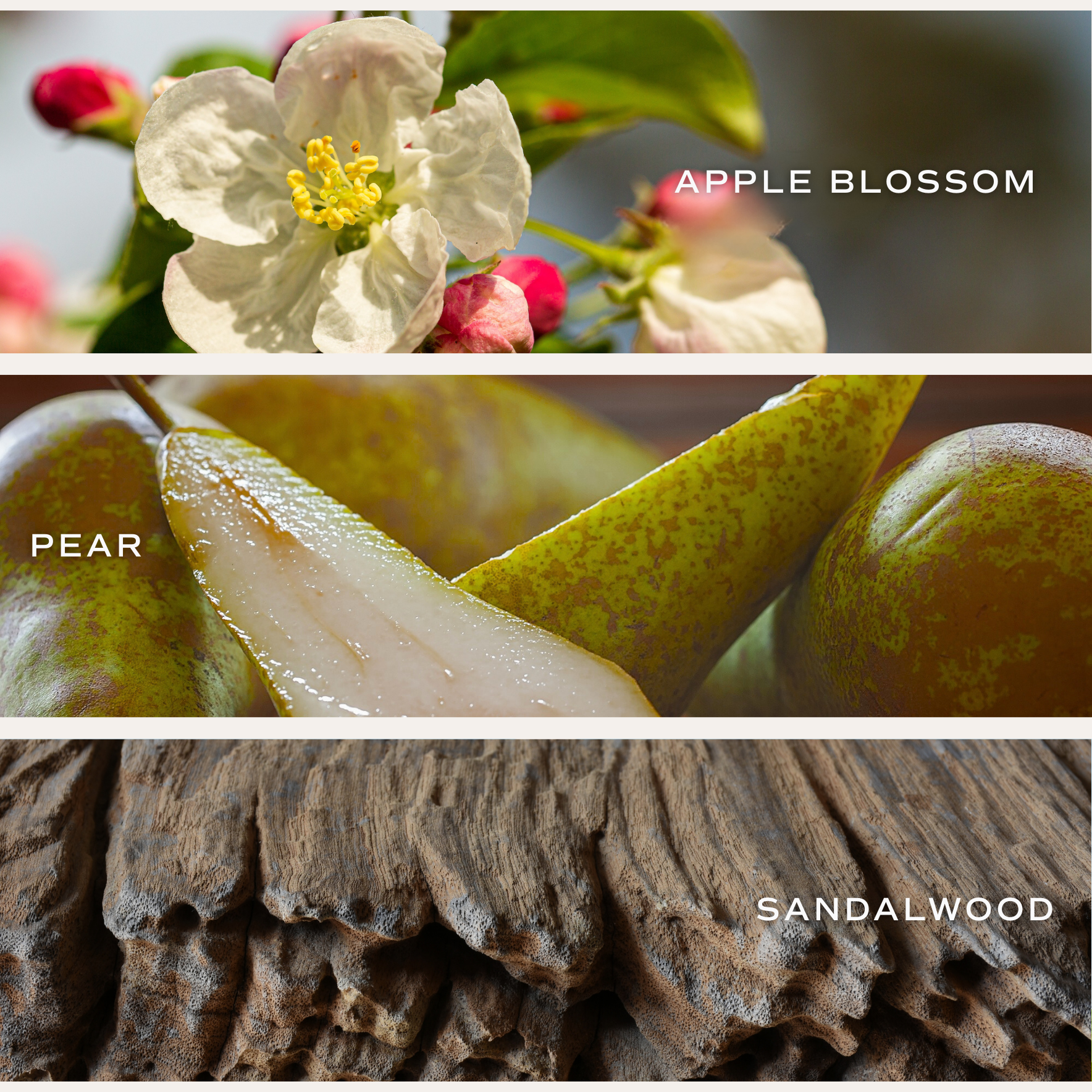 Gold Delft Soy Candle - White Translucent Tinted Glass Jar - 12 oz