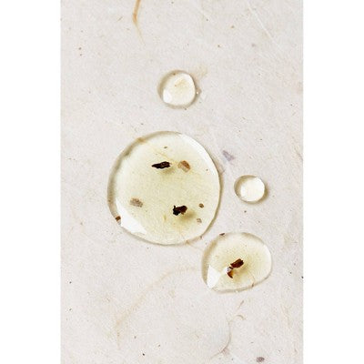 Alodia Nourish and Grow Healthy Hair and Scalp Oil 8.5 fl oz - Imperfect Container