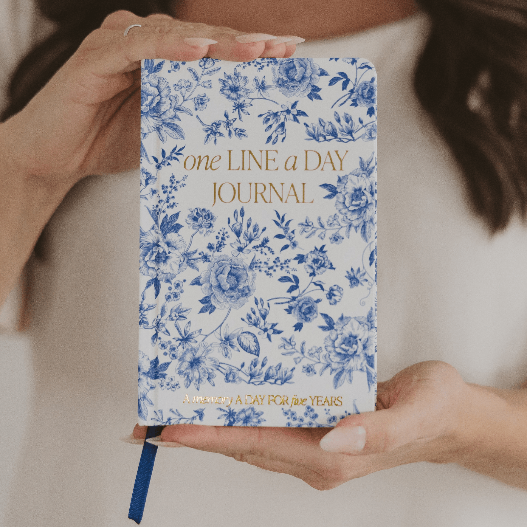 Diario de recuerdos de una línea al día en azul Delft