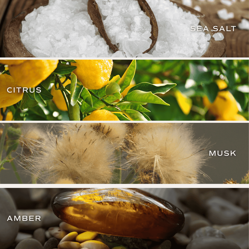 Salt and Sea Soy Candle - Blue Matte Jar - 15 oz