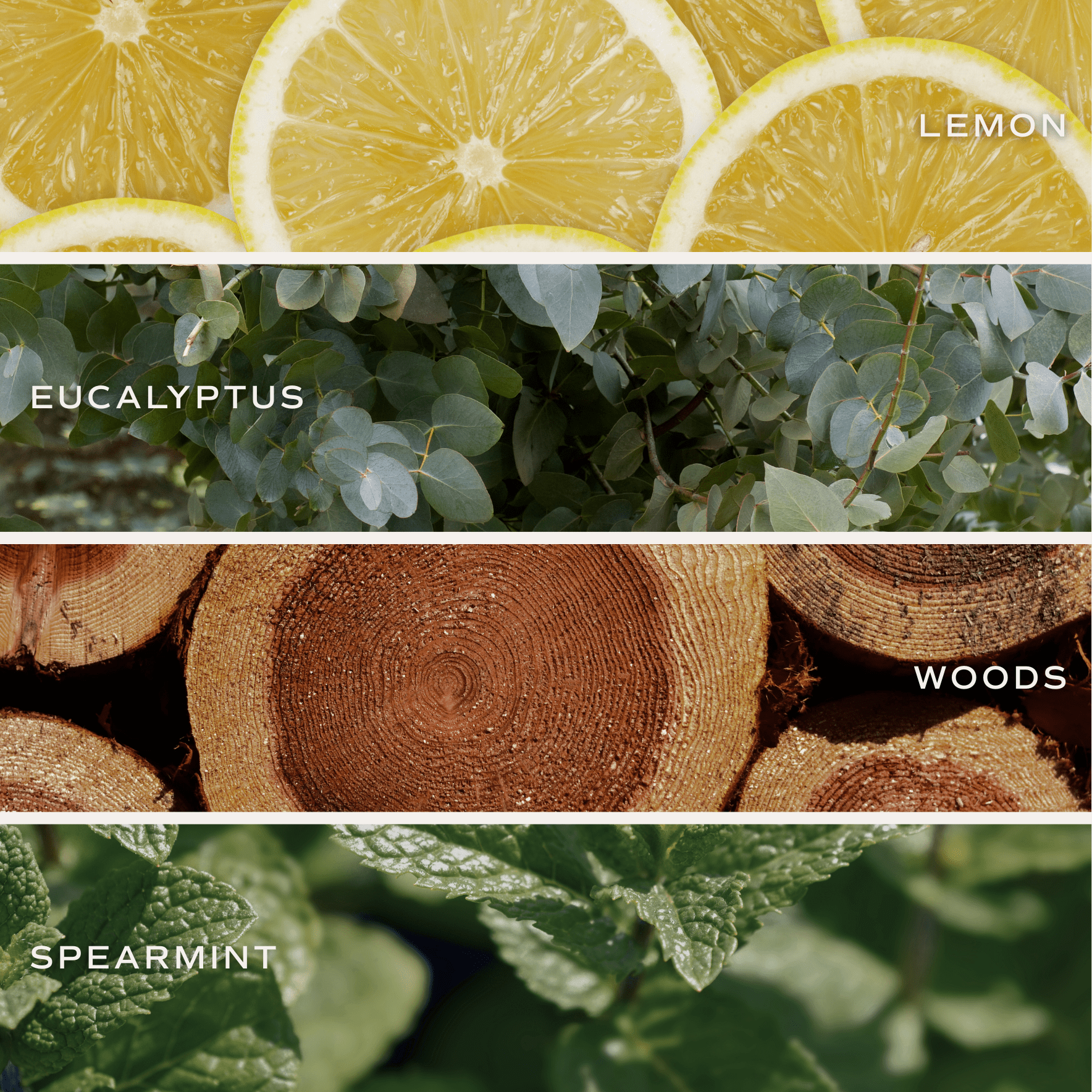 Stress Relief Soy Candle - Blue Matte Jar - 15 oz