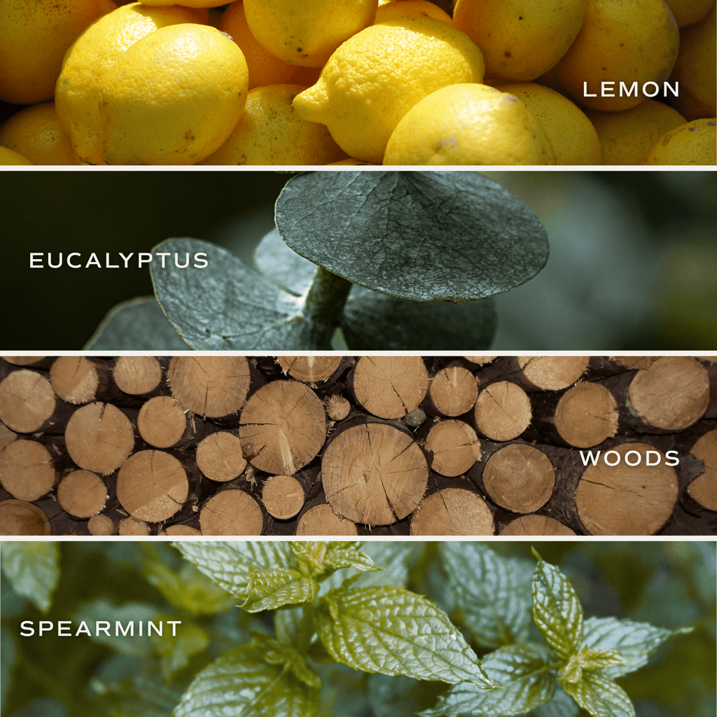 Stress Relief Blue Tinted Glass Jar Reed Diffuser