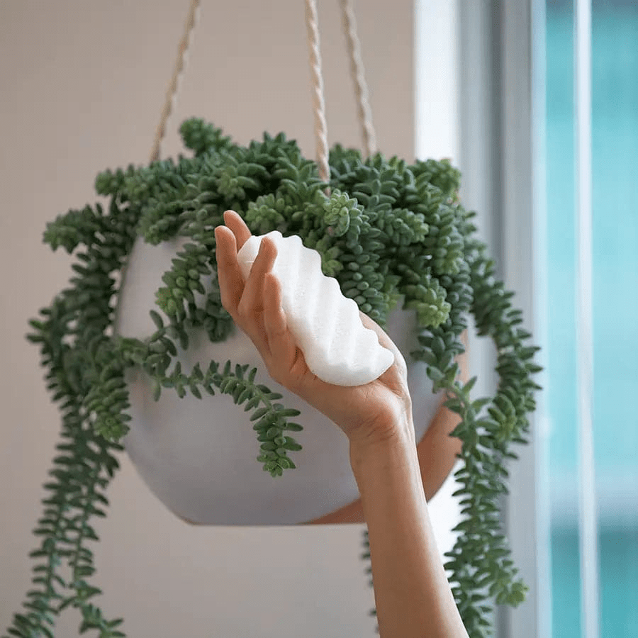 Konjac Body Sponge for Face & Body | Eco-Friendly Gentle Exfoliation