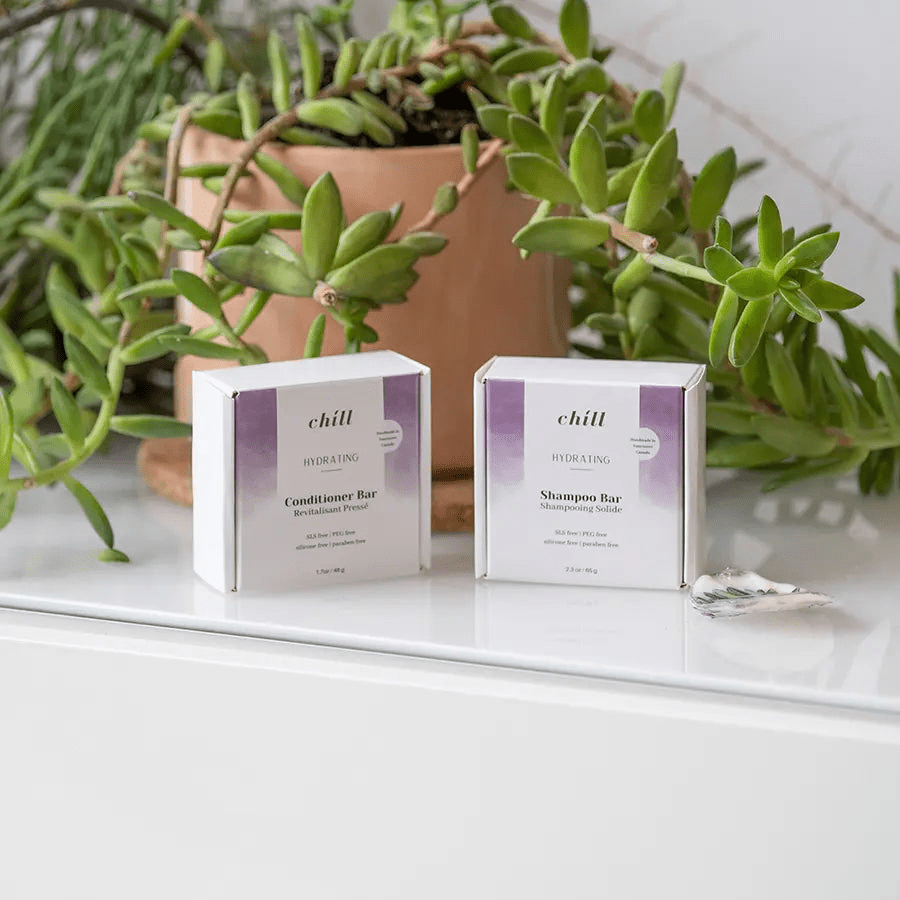 Hydrating Shampoo and Conditioner Bar Set - Shea Butter & Lavender for Dry Hair