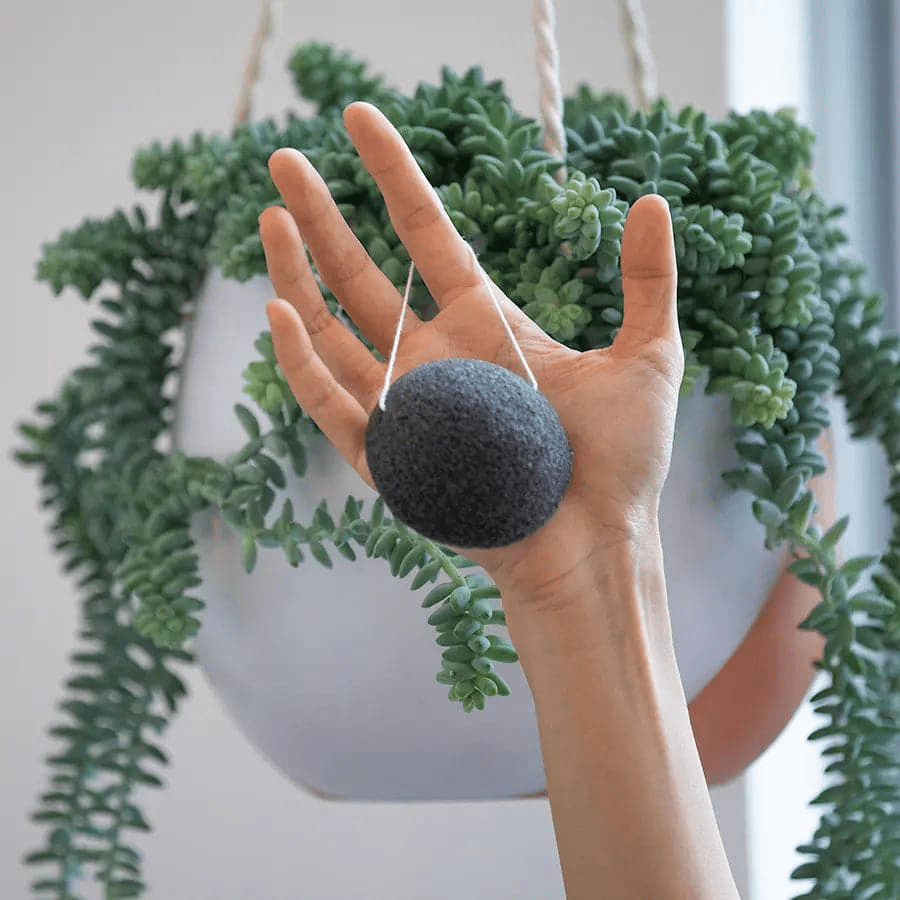 Natural Face Exfoliator - Konjac Facial Sponge with Charcoal