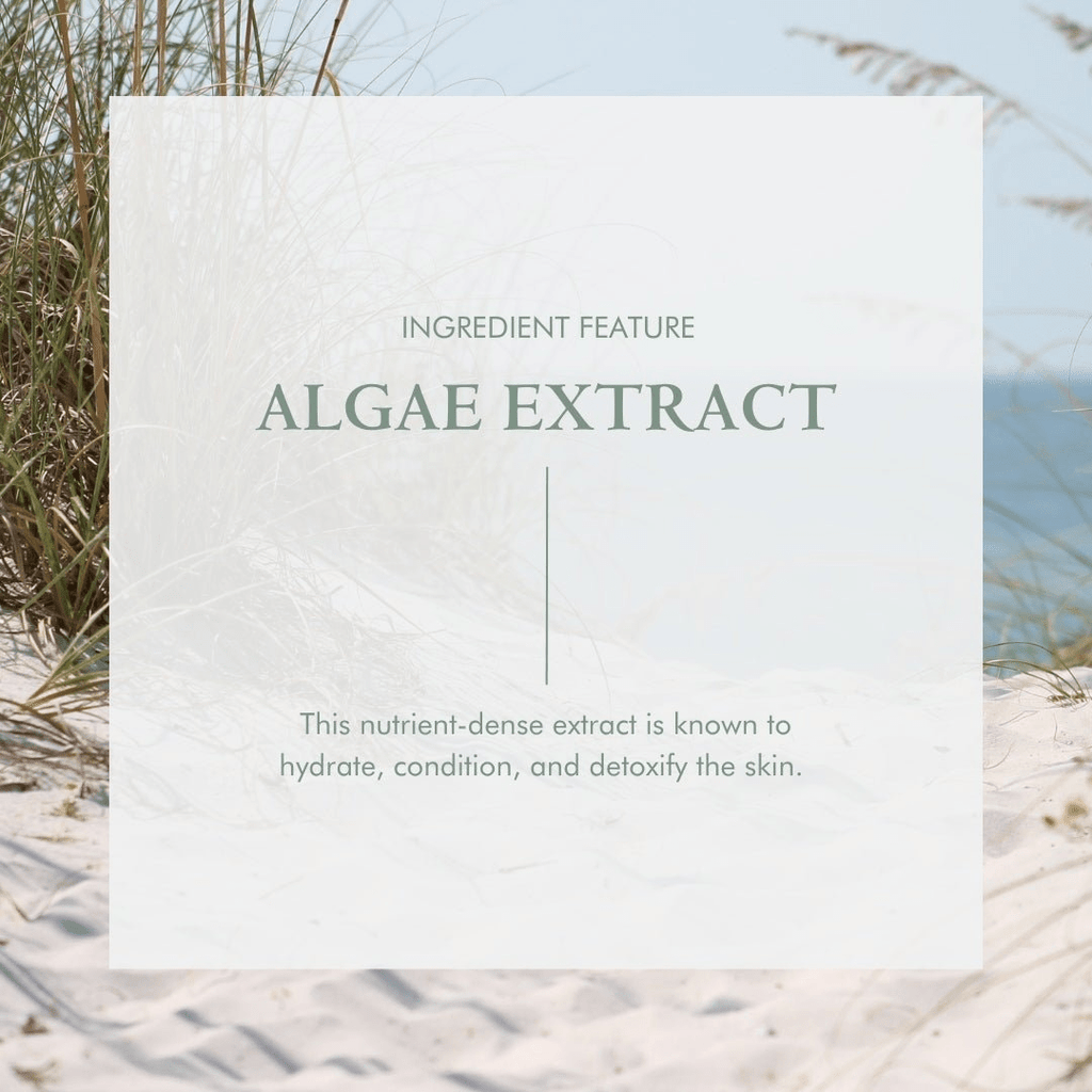 Organic Anti Aging Night Cream | Skin Renewal Hydration