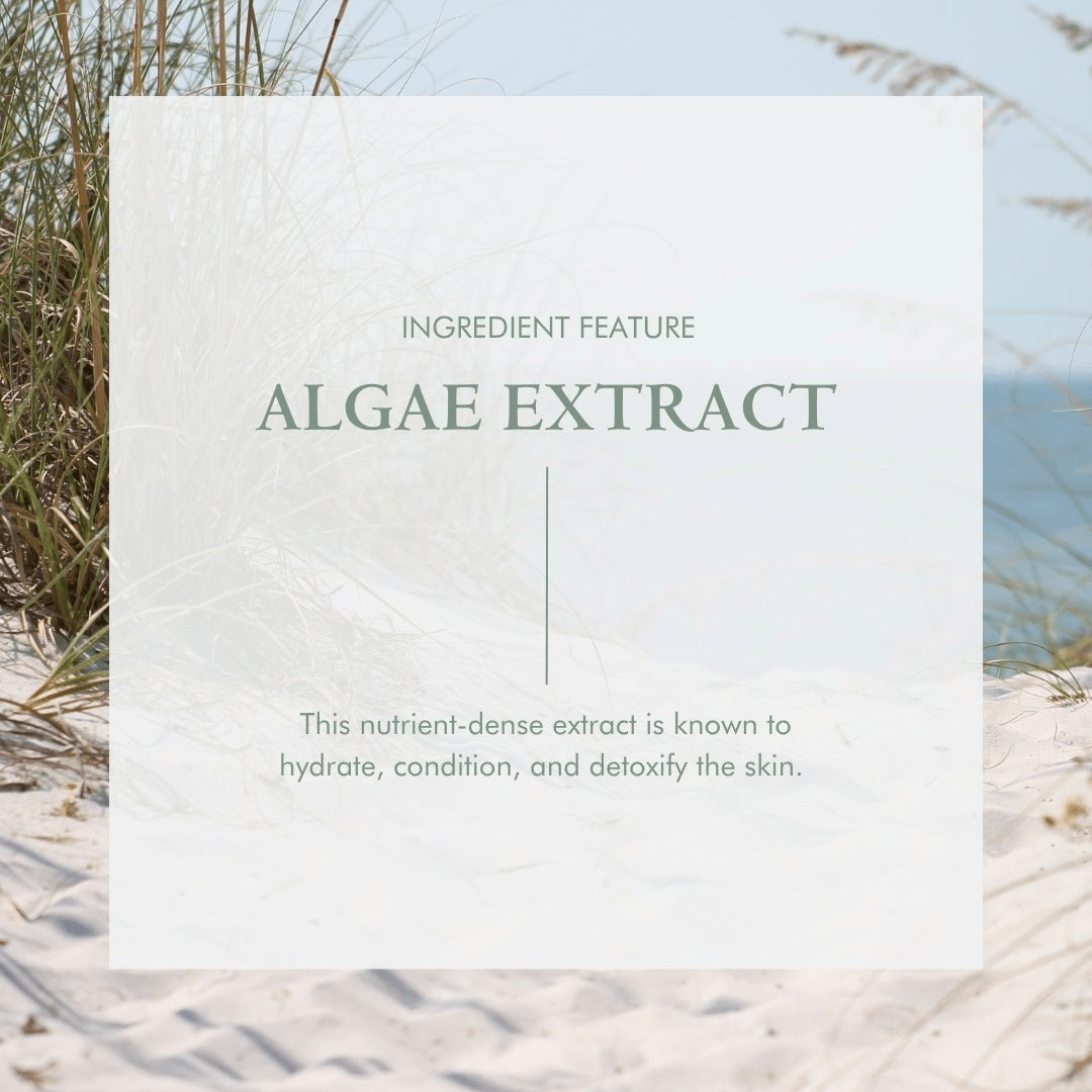 Organic Anti Aging Night Cream | Skin Renewal Hydration