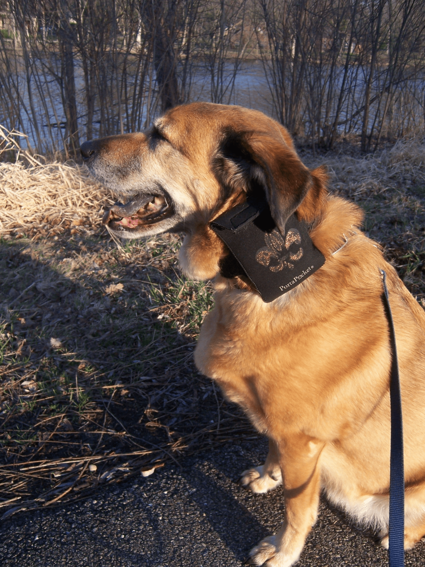 PortaPocket Combo Kit – Best-Selling Smartphone & Essentials Holster