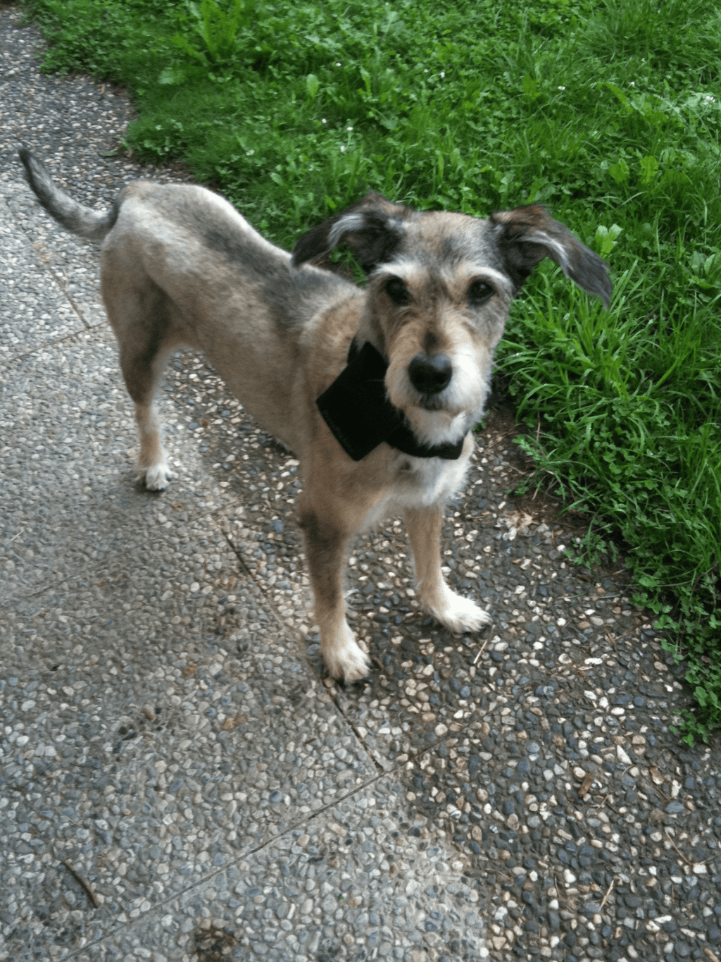 PortaPocket Combo Kit – Best-Selling Smartphone & Essentials Holster