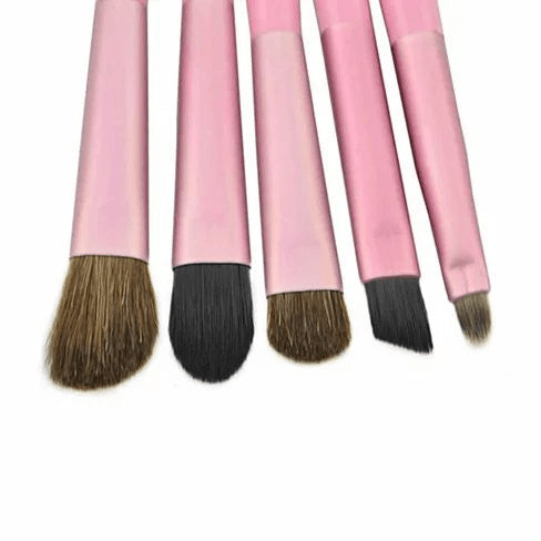 Travel Makeup Brush Set with Compact Travel Case - 5-Piece Cosmetic Kit